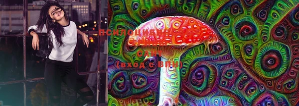 кокс Баксан